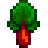 大黄